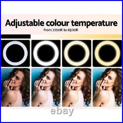 19 LED Ring Light 6500K 5800LM Dimmable Diva With Stand Make Up Studio Video PK