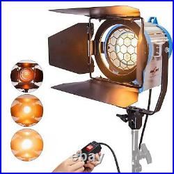 Dimmable Spotlight 300W Fresnel Tungsten Kit Professional Lighting Studio Video