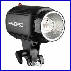 Godox E250 Photo Studio Strobe Flash Head Light Video & Reflective Umbrella Set