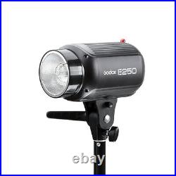 Godox E250 Photo Studio Strobe Flash Head Light Video + Reflective Umbrella Set