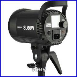 Godox SL-60W 5600K Studio LED Video Light Continuous Light + 95cm Softbox Grid