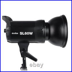Godox SL60W Studio LED Video Continuous Light + Beauty Dish with Grid & Soft cloth