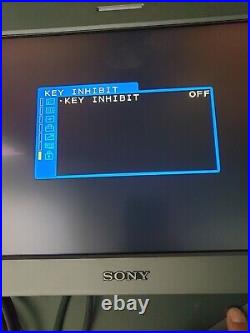 SONY LMD-171W MONITOR WITH MEU-WX1 ENGINE + mounts Superb VGC private studio